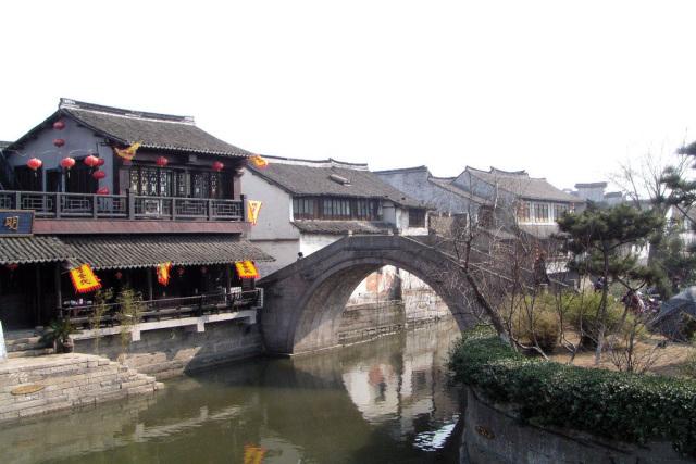逃离变色龙森林